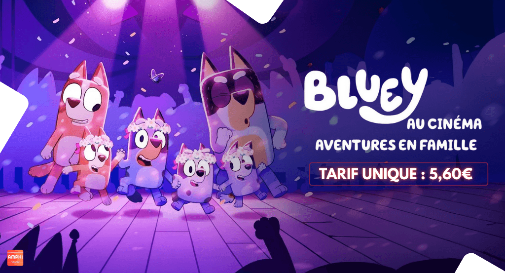 actualité bluey